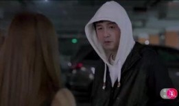 在线观看卧底,揭秘网络世界的正义之战